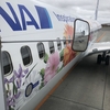 【ANA】772便　B737-800 新千歳✈️伊丹　搭乗記とANAダブルマイル当選