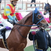 ＜2020.12.13　中山競馬場＞