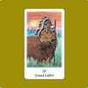 Vision Quest Tarot：IV Grand Father