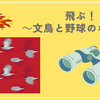 飛ぶ！　～文鳥と野球のボール～