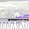 Animandala2019🐋第２回レポート‣そして第３回へ