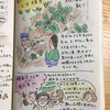 ほうれん草の草抜き。