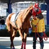 年があけましたね！おめでとうございます！