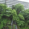 栃木県那須塩原市　ホテルニュー塩原　2025.6.29