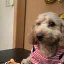 ni2co5’s blog