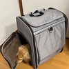 犬用キャリーバック〜リュック型