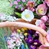 アシナガバチが巣を作ったらどうする？駆除せず蜂とお庭を共有することにした理由