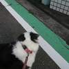 こんなところに！