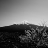 Black&White