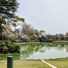どうすんだ!!岩屋!!【外務大臣のせいで大分県不買運動が開始される】