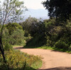 Rancho San Antonio