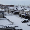 雪が積もった