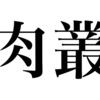 漢検一級勉強録 その98「肉叢」