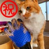 猫の換毛期～我が家の場合2024～