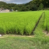単身赴任の爺、投資について考える（２）