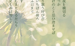 Go to entry