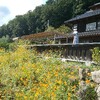 都幾川の饂飩　Udon of Tokigawa 都几川町 乌冬面