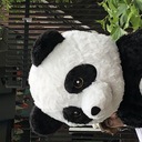 思い出してblog