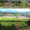 蒜山ハーブガーデンハービルの花風景 ⑤