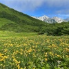 白馬・八方・・黒菱平の景色に・・うっとり❣