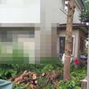 午後からは草刈太郎