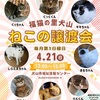 4月21日譲渡会のお知らせ🐾