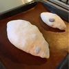 発酵前のぶどうパン