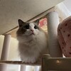 夜のお風呂遊び