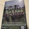 競馬を引退した馬の行方を知っていますか？