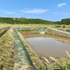 東崎のファームポンド（仮称）（沖縄県与那国島）