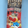 今日のおやつ　「ガリガリ君リッチ　チョコチョコチョコチップ」