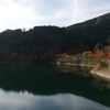 奥多摩湖に紅葉を撮りに行った