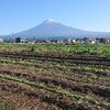 泉里農園ブログ21,10,28号配信致しました！☺️よろしくお願いいたします(^.^)