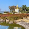 奈良尾温泉センターの池（長崎県中通島）