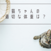 うちの猫っておデブ！？猫の月齢と平均体重まとめ