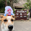 時間差を楽しむ。写真を写真屋さんで現像してもらったことはありますか？