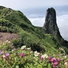 【利尻山②】リシリヒナゲシ咲く雲上の花園！日本最北の百名山へ