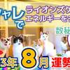 【数秘⑨の方へ】2023年8月運勢