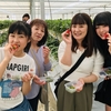 完熟いちご🍓狩り情報4月8日(月)休園日です‼️❣️💕✨