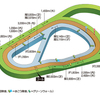 【馬場情報】阪神競馬場