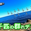 【#27】サーフ前の堤防で”とある魚”の絨毯が発生しました🐟田原サーフ【釣行日2024/1/17(水)】