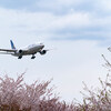 #60 さくらの山で飛行機を