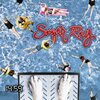 夏になると聞きたくなる懐かしい西海岸系ロックの一つ Sugaar Ray / Someday