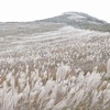 雪景色