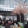 アークヒルズ桜祭🌸