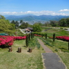 茶臼山自然植物園