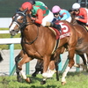 競馬初心者必見☆馬券予想🔥〜フィリーズレビュー〜ナムラクレアの軸は不動か！？〜