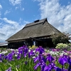 十和田市　鯉艸郷の花菖蒲とスイレン