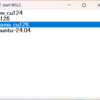 WSL2のディストリビューションを選択して起動するGUIをC#で作りました