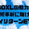 SOXLの魅力: 技術革新に賭けるハイリターンETF⭐️